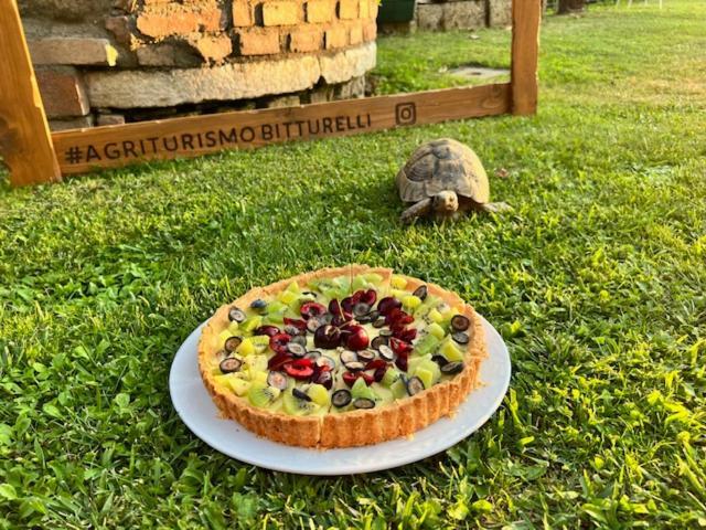 Agriturismo Bitturelli Ponti sul Mincio Zewnętrze zdjęcie