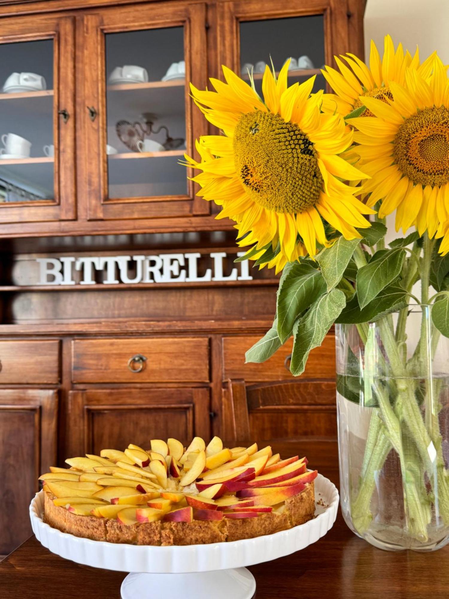 Agriturismo Bitturelli Ponti sul Mincio Zewnętrze zdjęcie