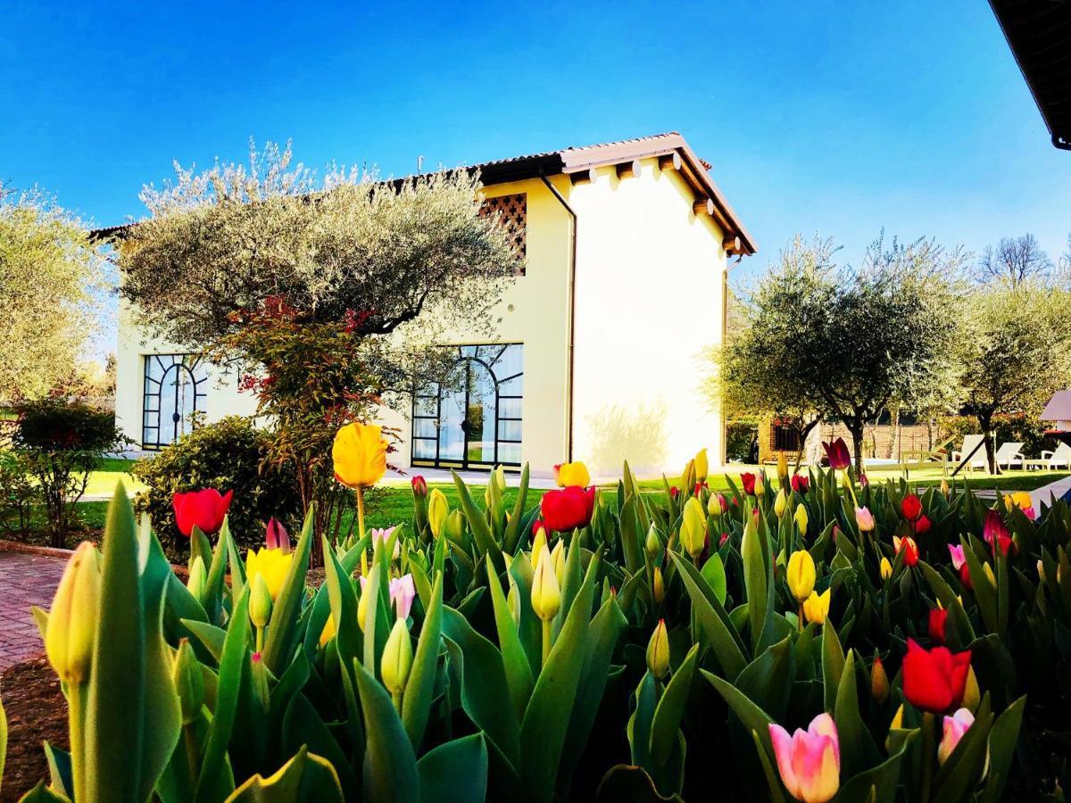 Agriturismo Bitturelli Ponti sul Mincio Zewnętrze zdjęcie